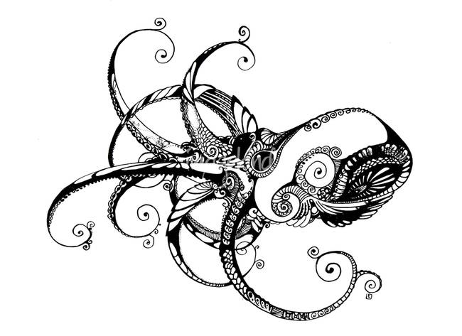 650x473 Octopus By Martesmartess