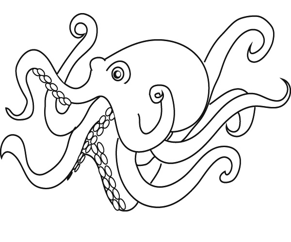 600x500 Coloring Octopus