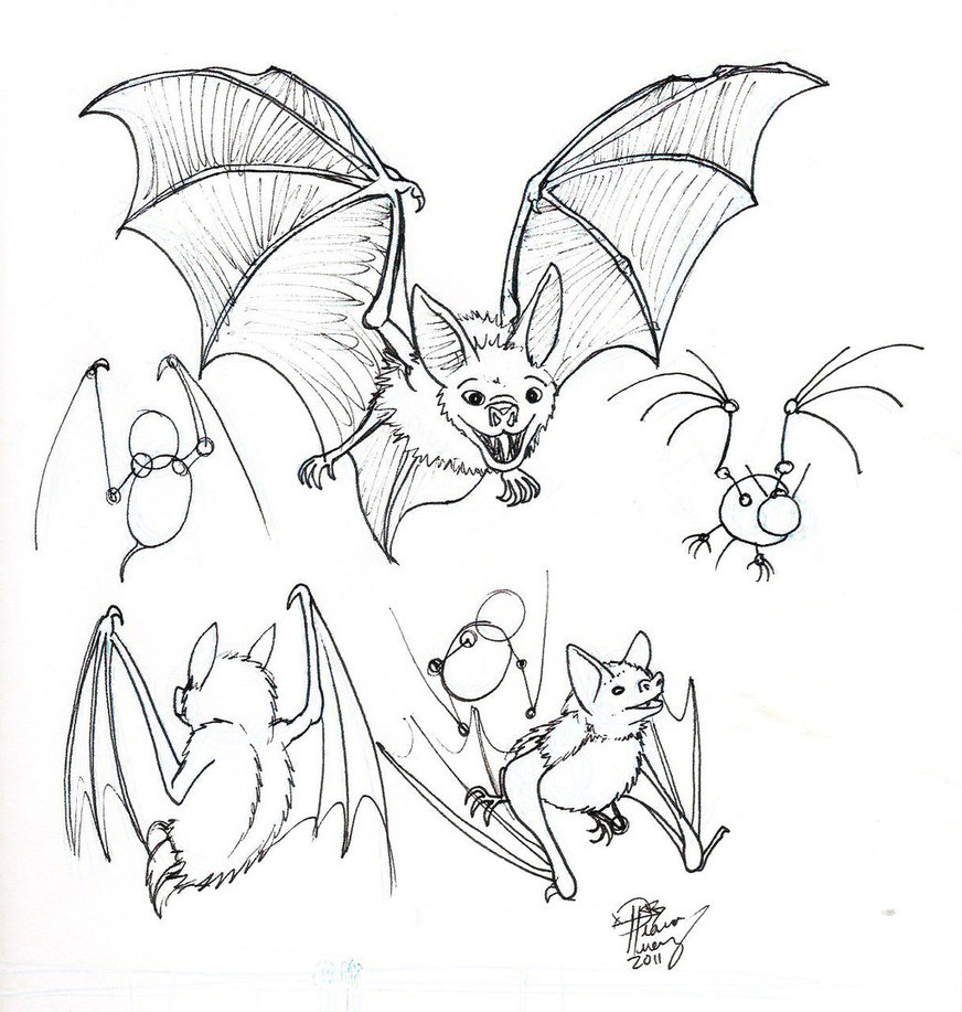 872x917 Draw A Bat 2 By Diana Huang