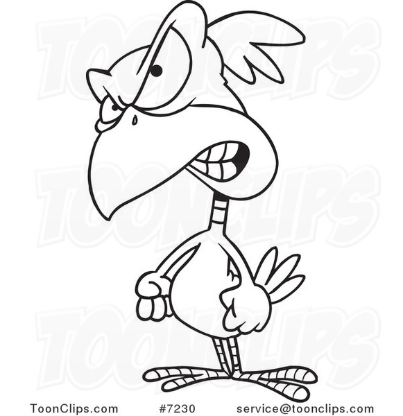 581x600 Cartoon Black And White Line Drawing Of A Feisty Bird