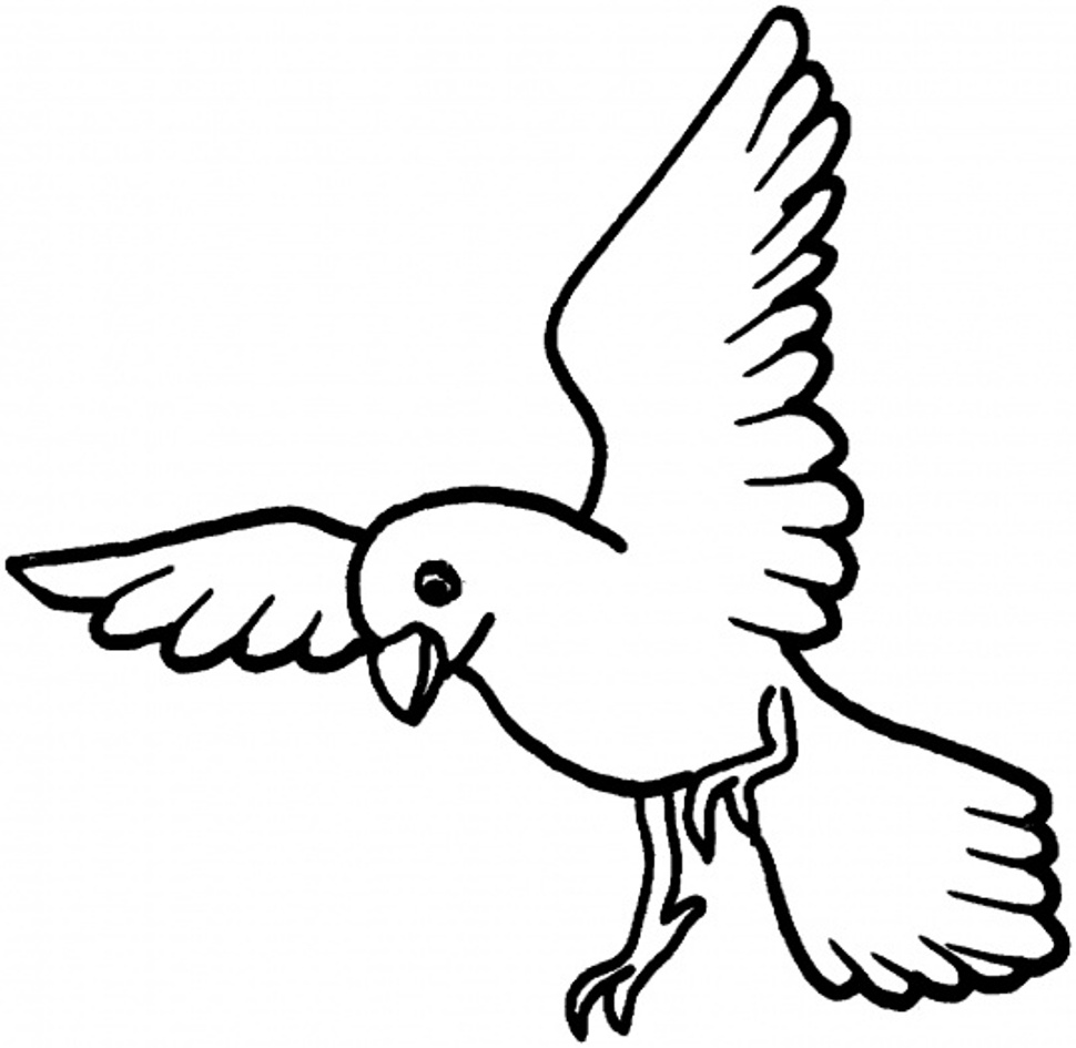 970x945 Pigeon Clipart Colouring Page