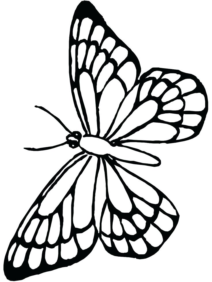 736x980 Cute Butterfly Coloring Pages Cute Butterfly Line Drawing Coloring