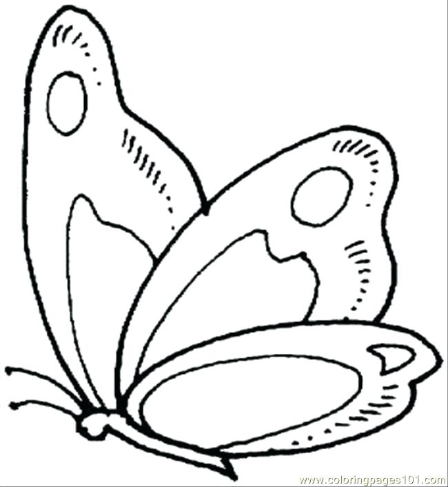 650x706 Here Are Butterfly Coloring Pages Images Cute Butterfly Line