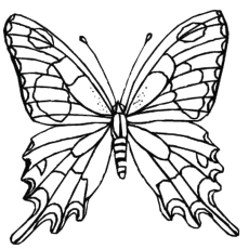 230x230 Top 50 Free Printable Butterfly Coloring Pages Online