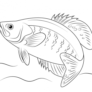 320x320 Tag For Medium Fish Drawing Line Drawing Of A Fish Photo
