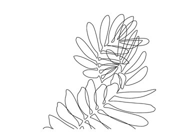 340x270 Line Drawing Etsy