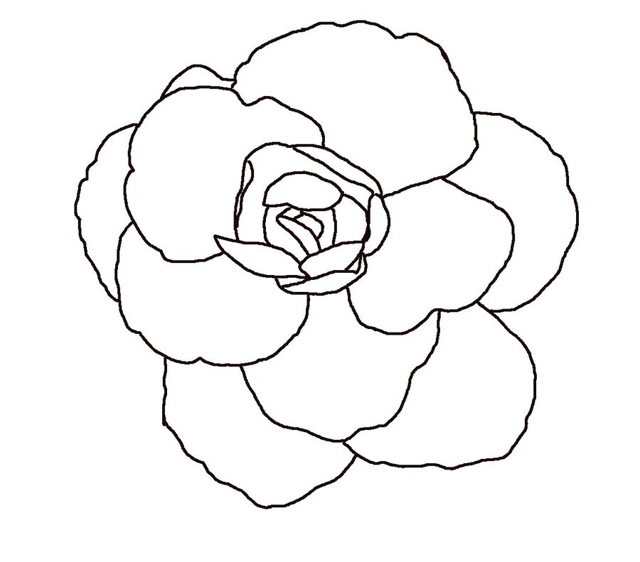 900x791 Line Drawings Of Flowerrs Basic Flower Lineart By Rainny Stock