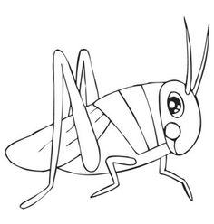 236x248 How To Draw A Grasshopper For Kids, Step By Step, Animals For Kids