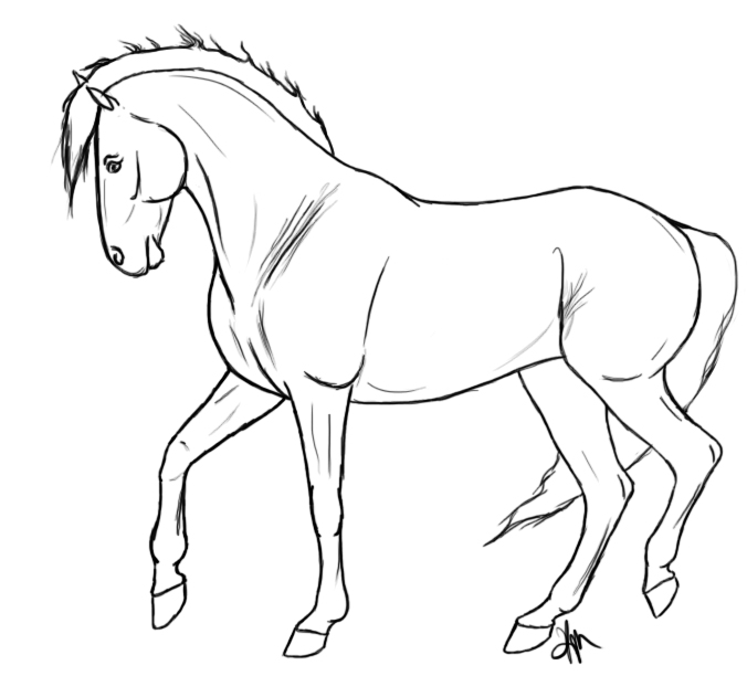 676x612 Free Horse Lines 2 By Equidedesigns