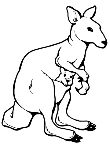 360x480 Kangaroo With A Joey Coloring Page Free Printable Coloring Pages