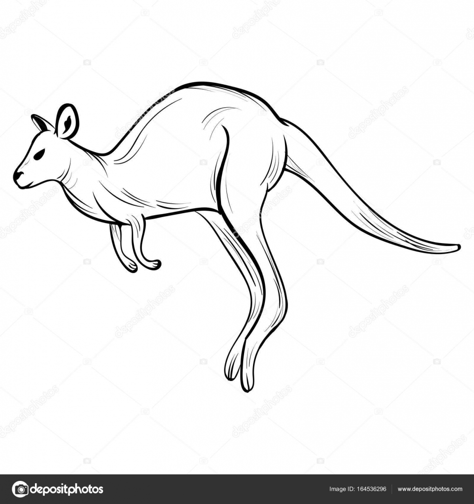 963x1024 Hand Draw Kangaroostyle Sketch Tattoo Stock Vector Tiverets