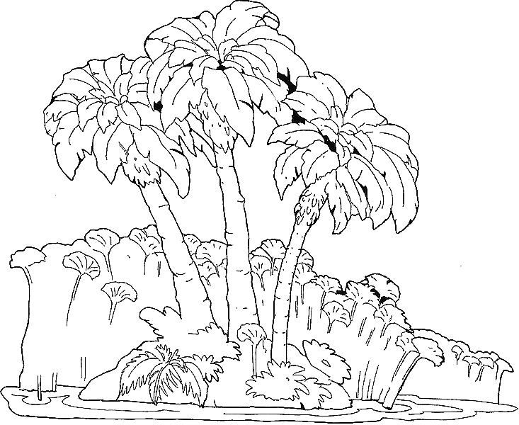 733x600 Coloring Palm Trees On An Island Service Road Picture