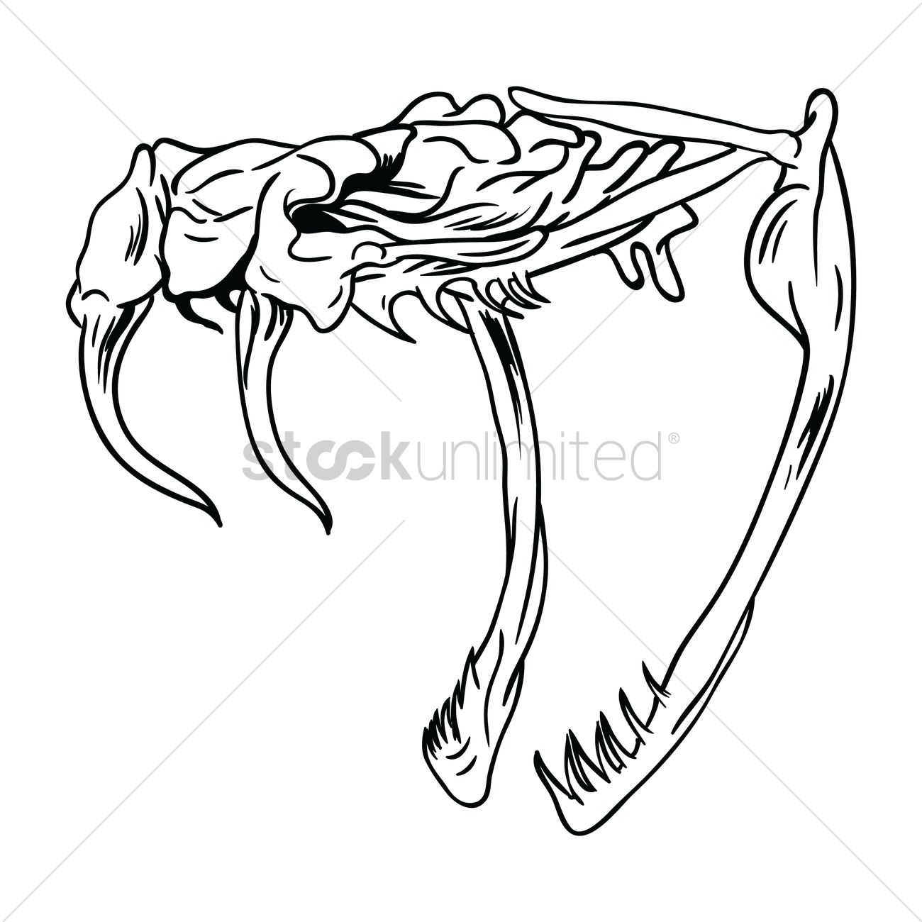 1300x1300 Free Snake Skull Vector Image