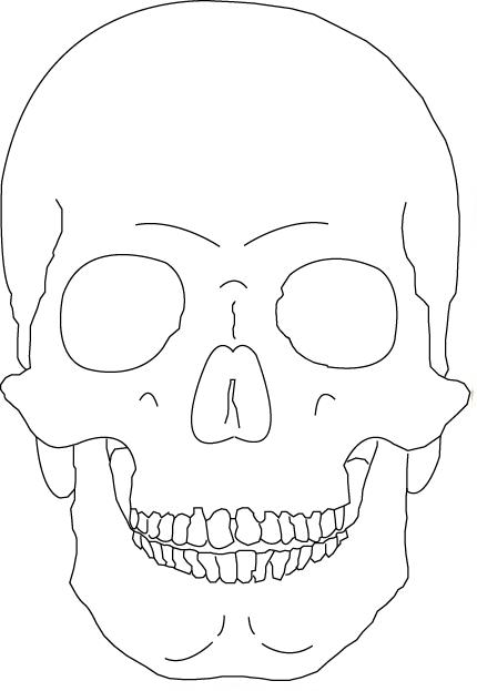 430x623 Skull (Outline Only) By Vicious Masks Outlines