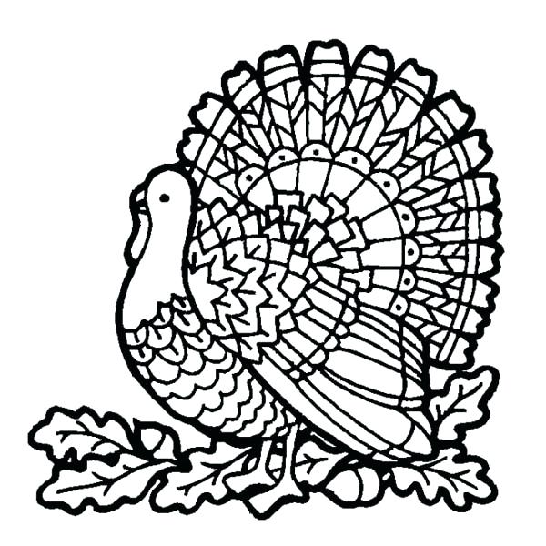 600x600 Coloring Turkey Printable Pictures Thanksgiving Coloring Pages