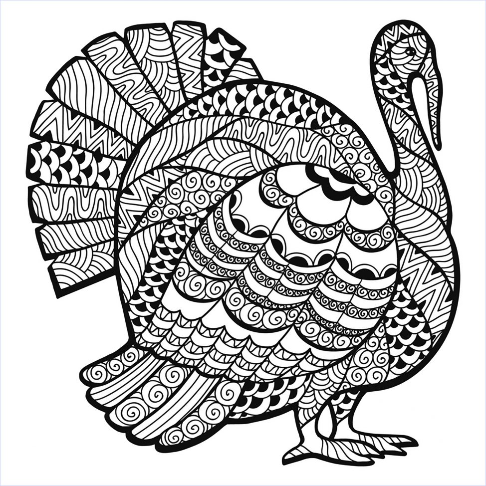 974x974 Coloring Pages Thanksgiving Zentangle 15 Turkey Coloring Pages