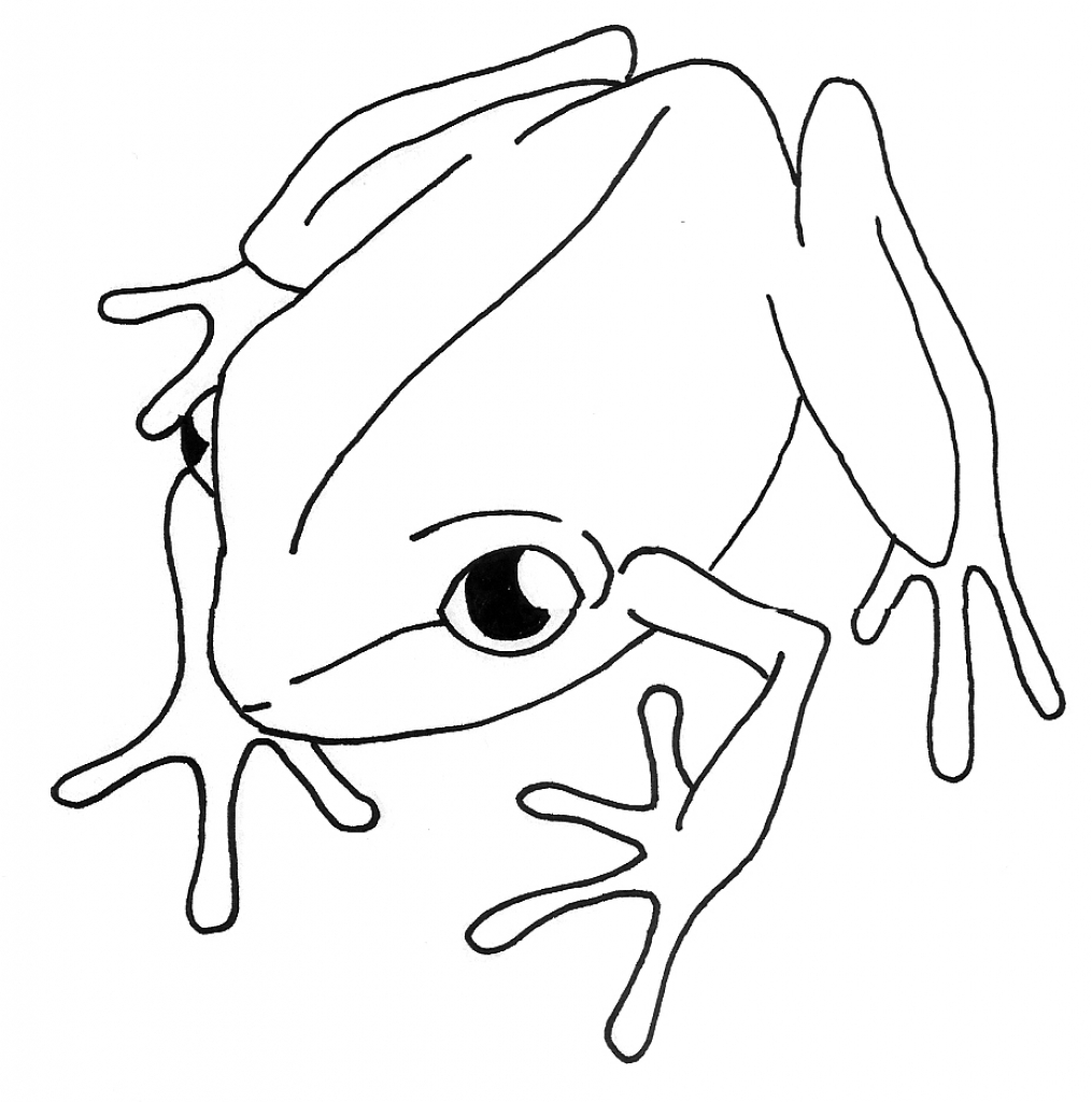 Line Drawing Of Animals at GetDrawings | Free download