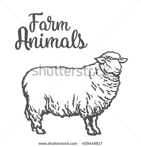 450x470 Drawn Farm Animals Sketch