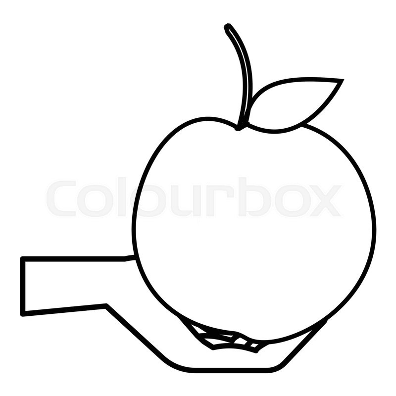 800x800 Hand Holding Apple Icon. Outline Illustration Of Hand Holding