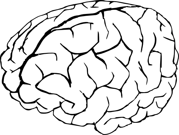 600x454 Brain Drawing Clip Art