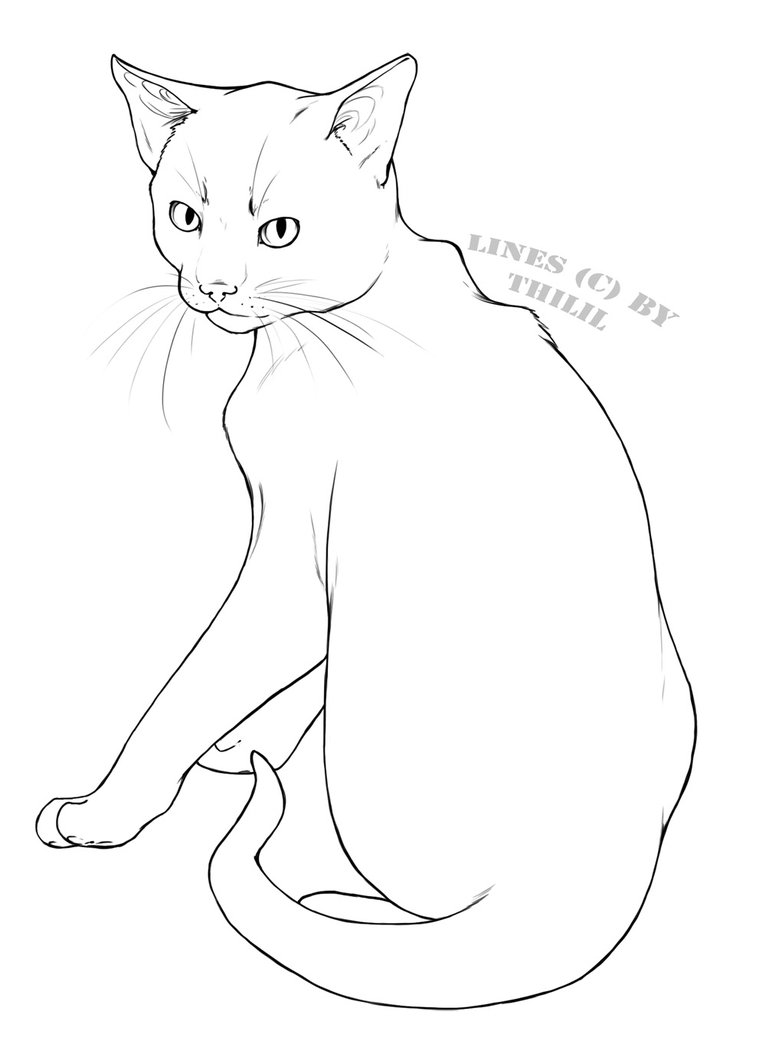 766x1044 Gallery Free Line Drawings Of Cats,