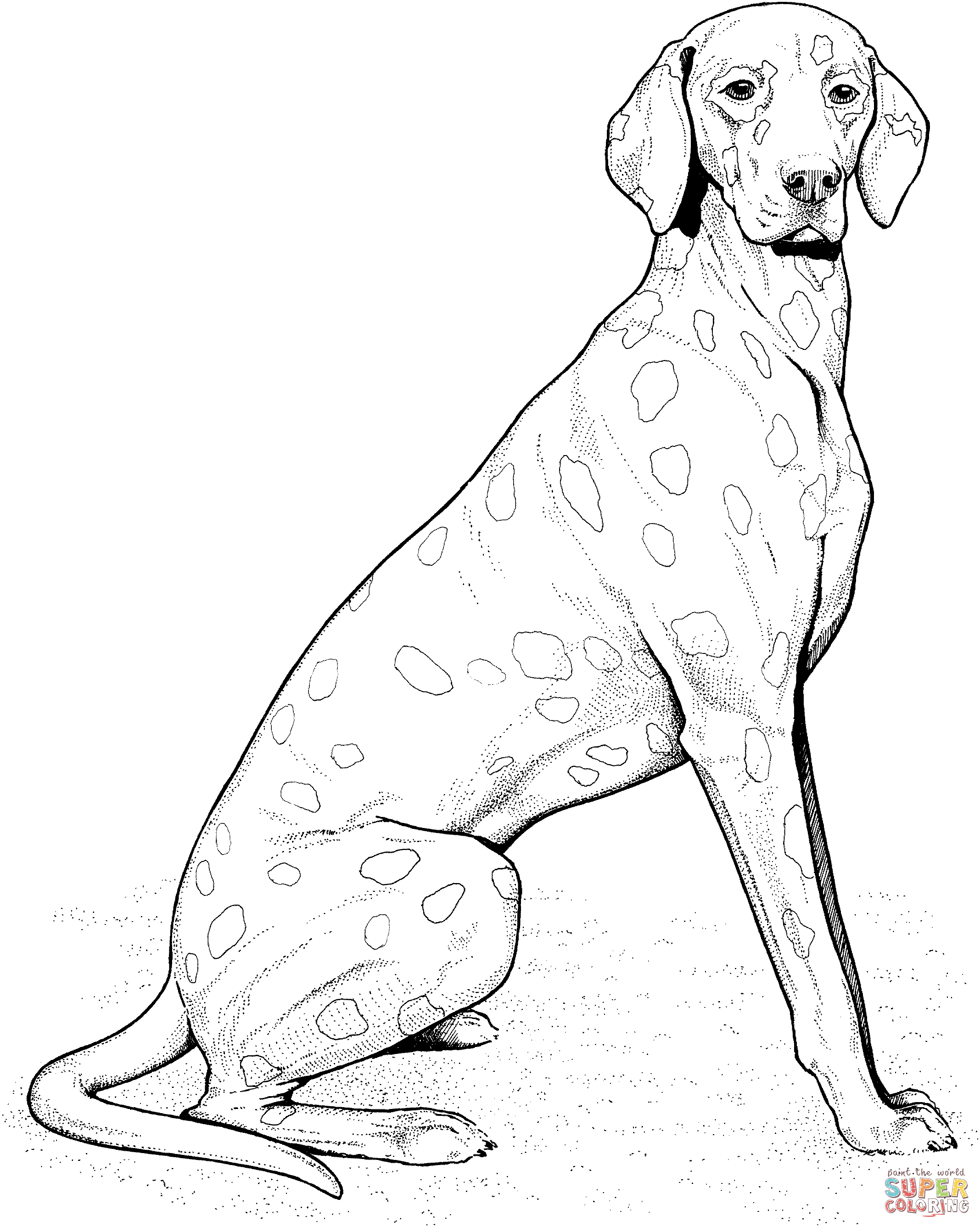 2135x2672 Dogs Coloring Pages Free Coloring Pages