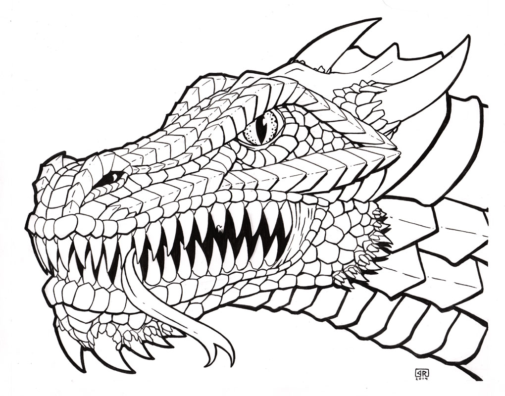 1020x800 Dragon Head Line Art By Therigger