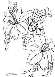 236x328 Flower Line Drawings. Flower Type Of Line Drawing Vector Diagram