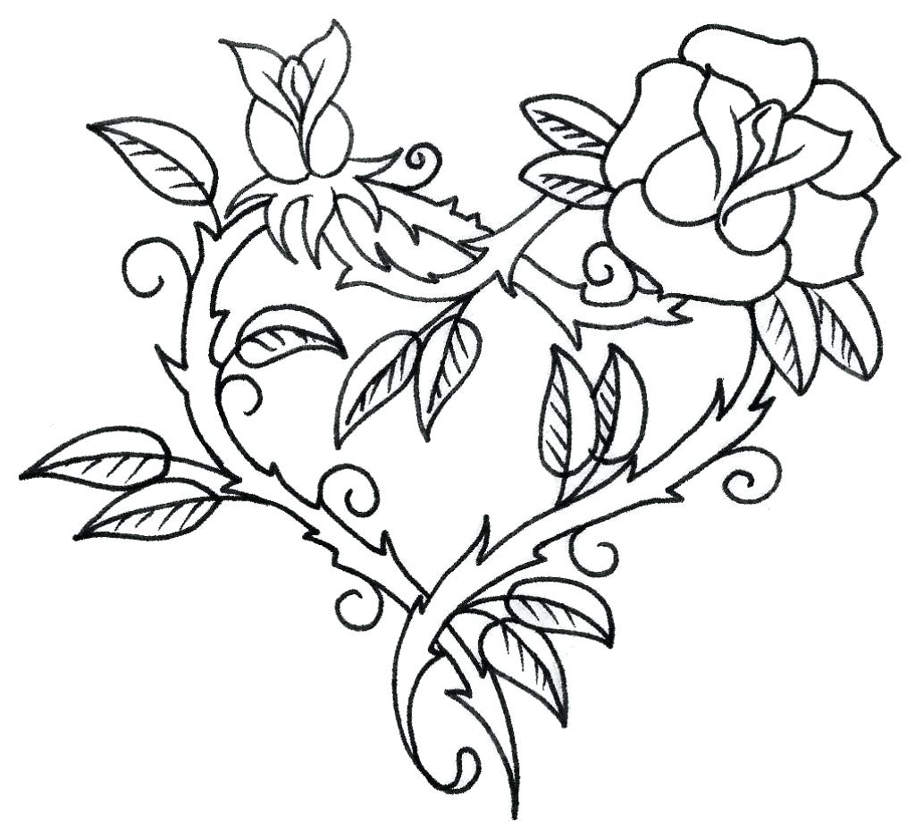 1024x929 Flower Outline Pin Hibiscus Coloring Pages Wallpapers Background