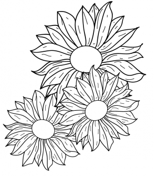 310x353 Flowers Line Drawing Free Vector Ai,eps Format Free Vector