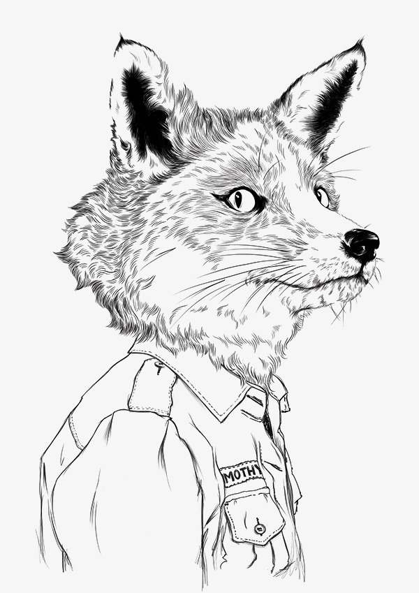 600x849 Anthropomorphic Fox Line Drawing, Line Drawing Fox