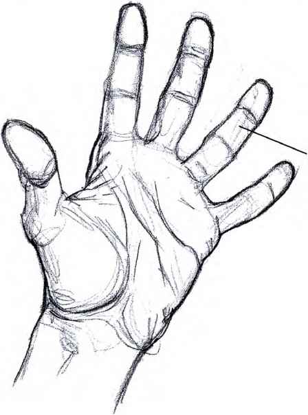 448x604 How To Draw Manga Hand