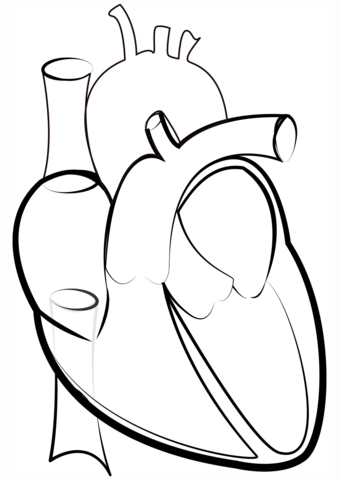 339x480 Heart Outline Coloring Page Free Printable Coloring Pages
