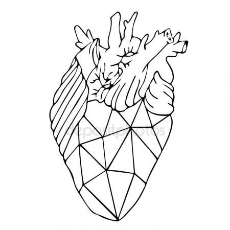 450x450 The Best Human Heart Drawing Ideas On Human Heart