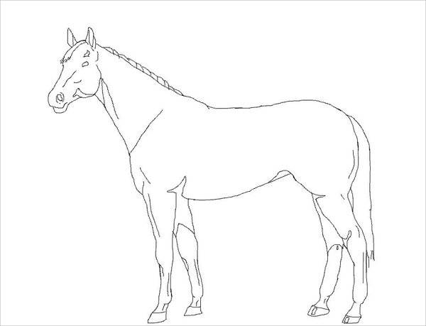 Line Drawing Of Horse