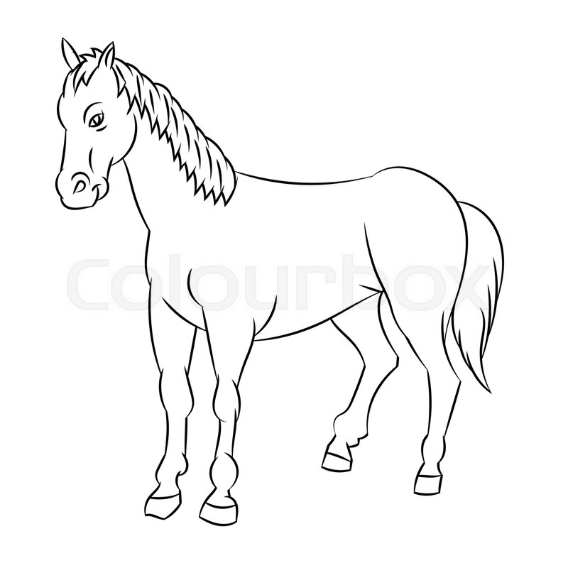 800x800 Hand Drawn Sketch Of Horse Isolated, Black And White Cartoon
