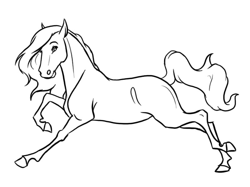 800x600 Horse Line Art By Gothic180