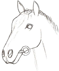 250x301 How To Draw A Horse Head