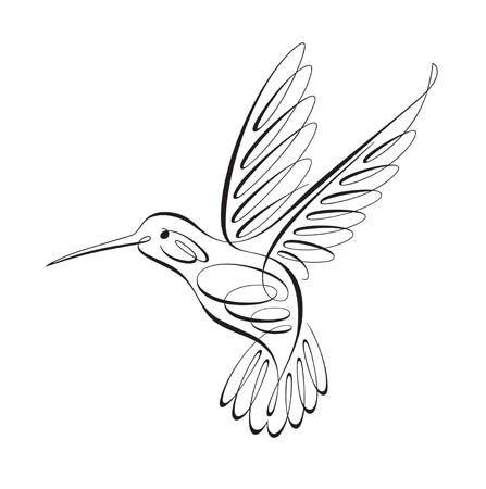 Line Drawing Of Hummingbird at GetDrawings | Free download