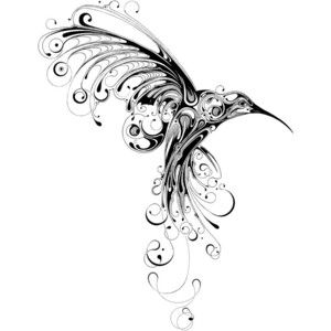 300x300 60 Best Hummingbird Images On Humming Birds