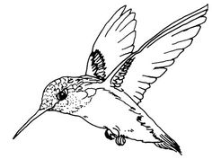 236x177 Black And White Line Drawings Of Birds