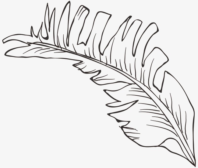 Line Drawing Of Leaves at GetDrawings.com | Free for personal use Line