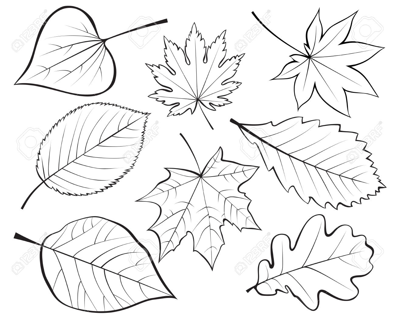 Line Drawing Of Leaves at GetDrawings | Free download