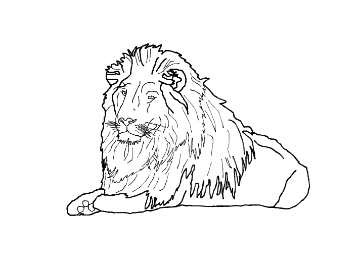 710x533 Lion Outline By Hiidee