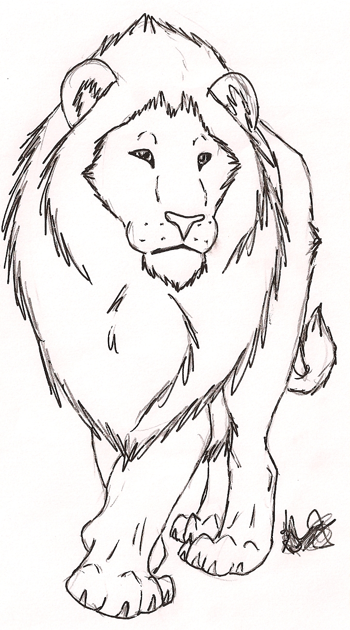 722x1298 Free Lion Sketch By Rurouna By Misfit