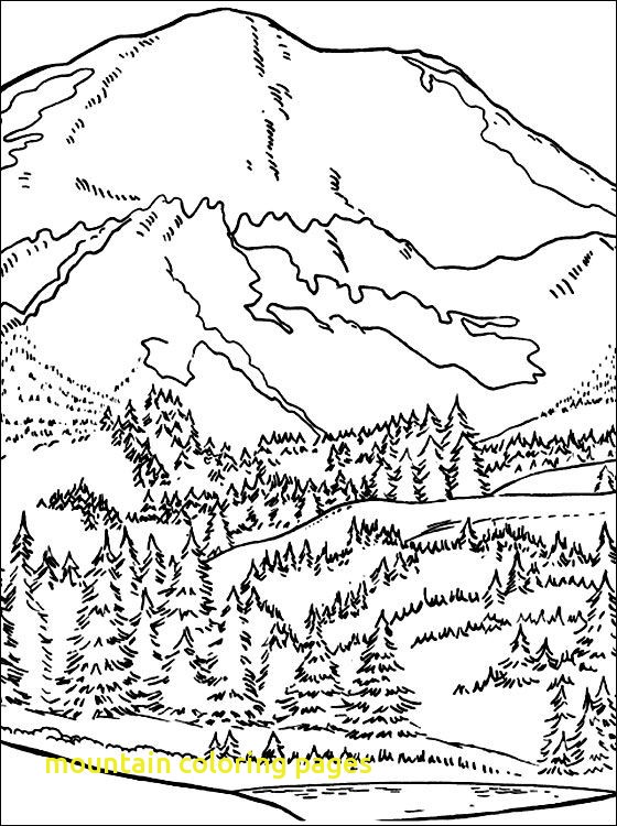 560x750 Mountain Coloring Pages With Image Result For Seaweed Outline