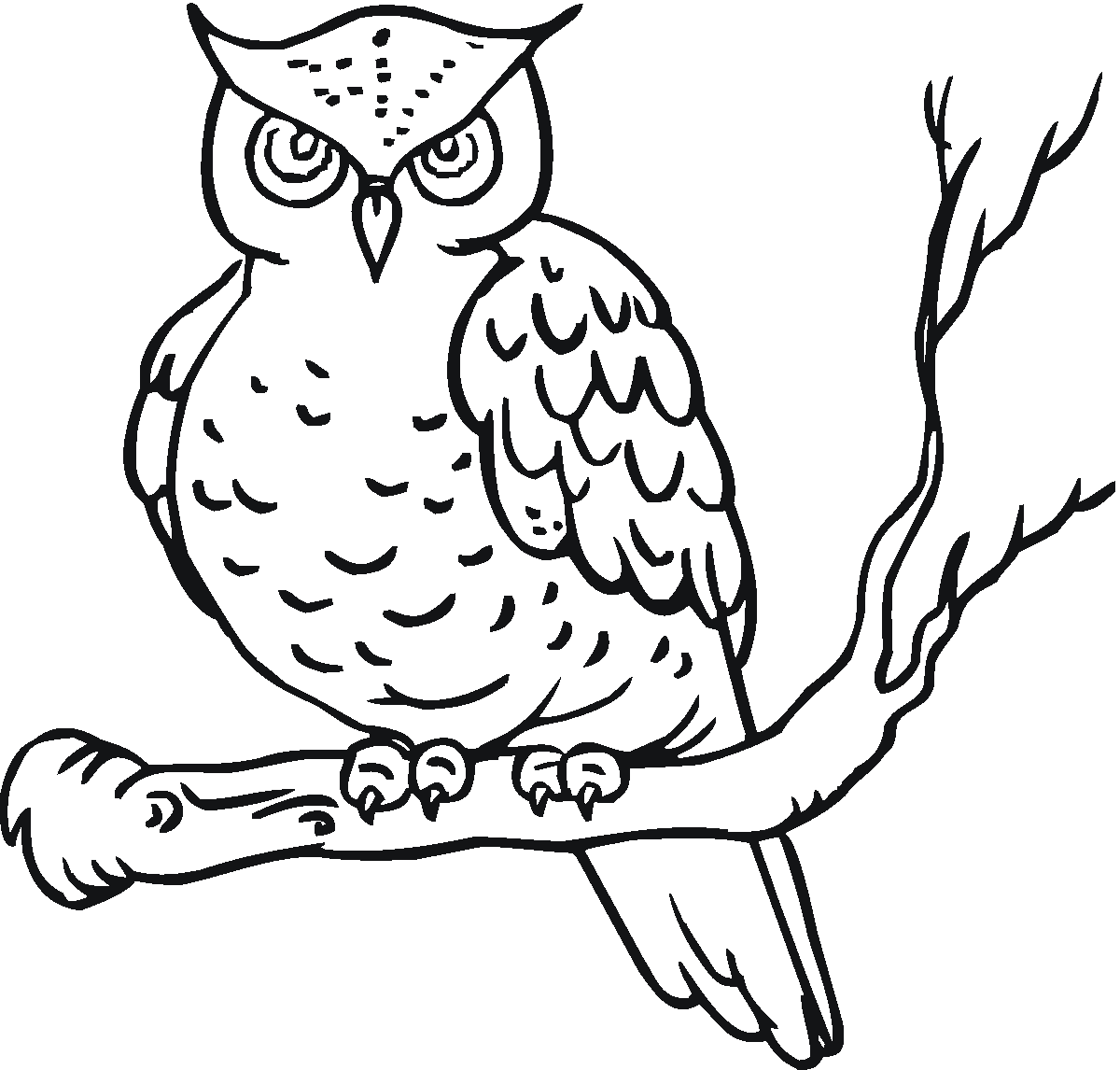 Line Drawing Of Owl