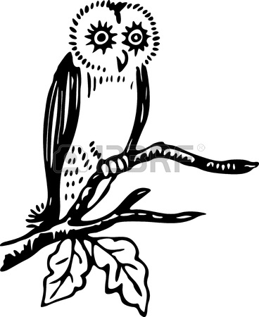 368x450 Simple Black And White Line Drawing Of An Owl On A Branch Stock
