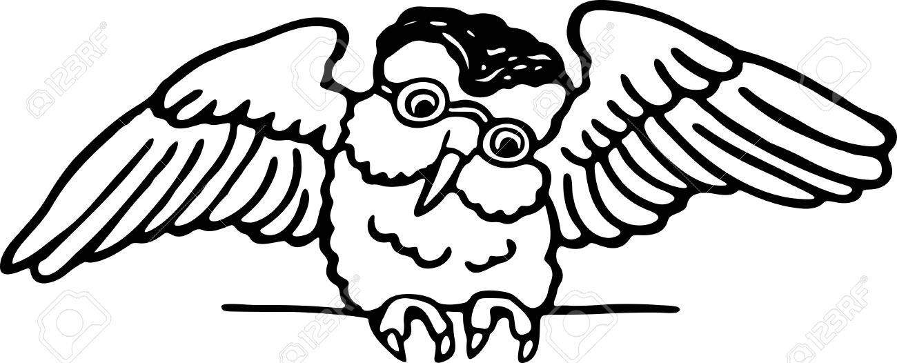 1300x526 Simple Black And White Line Drawing Of An Owl With It S Wings