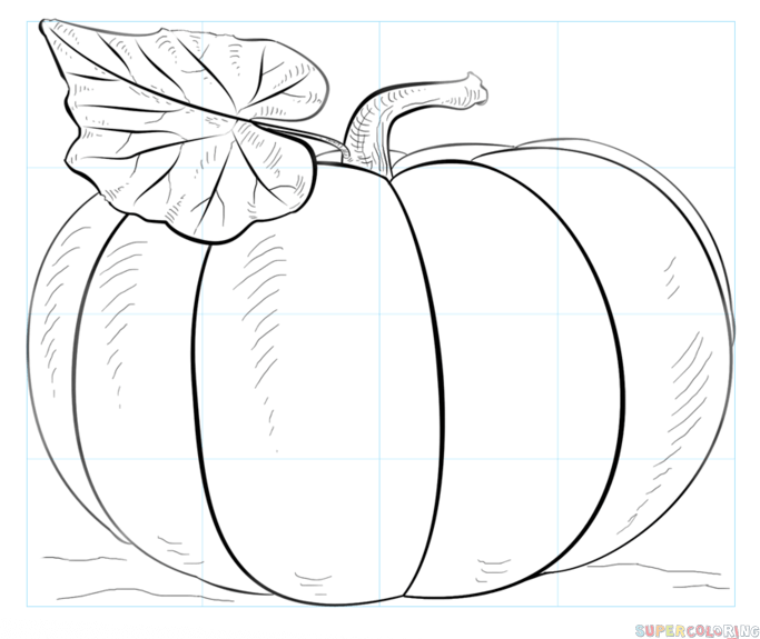 683x575 How To Draw A Pumpkin Step By Step Drawing Tutorials